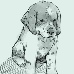 Meet your Posher, Andria